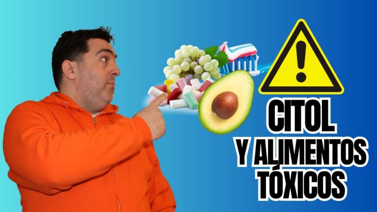 Cuidados Urgentes para Mascotas tras Ingesti&oacute;n de Sustancias Peligrosas