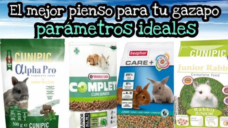 Los mejores alimentos para conejos dom&eacute;sticos