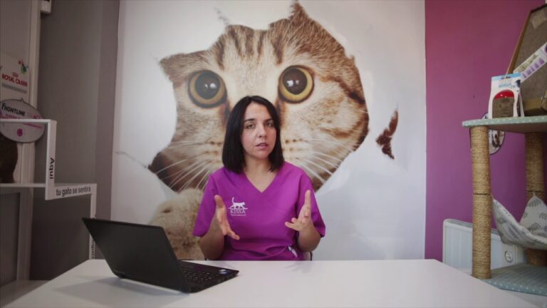 Abordaje Psicol&oacute;gico en el Cuidado Veterinario de Animales