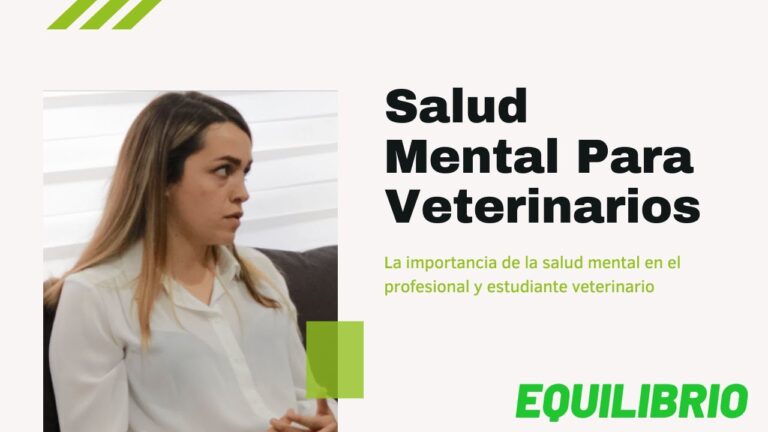 La Salud Veterinaria Integral en Gatos: Su Importancia Esencial