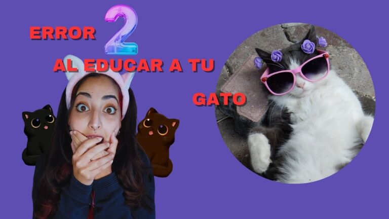 Accesorios Esenciales para Mejorar la Salud Mental de tu Mascota