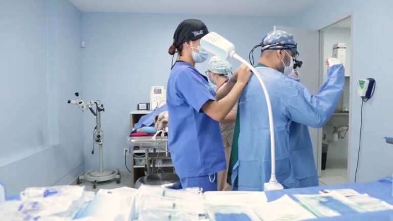 Servicios Integrales de Oftalmolog&iacute;a Veterinaria