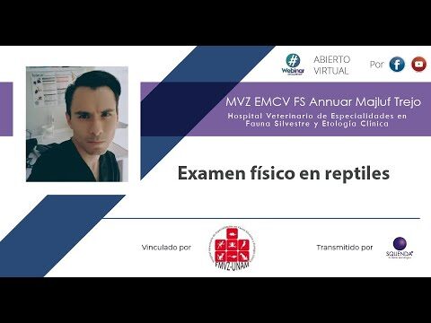 Manejo Responsable de Reptiles como Mascotas
