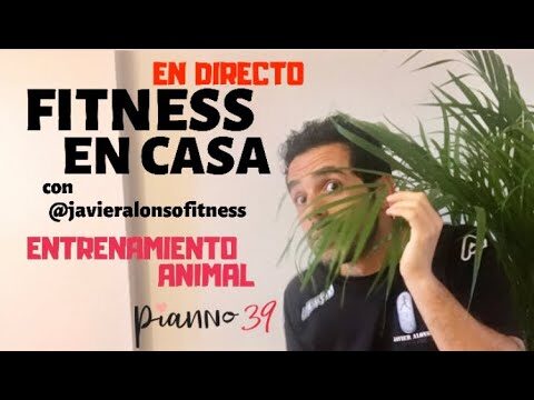 Entrenamiento Personalizado en Casa para Mascotas