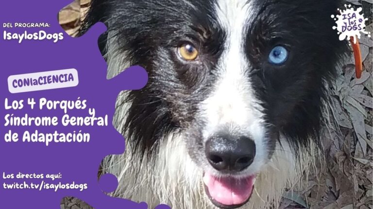 Medicamentos para Mejorar el Comportamiento Animal