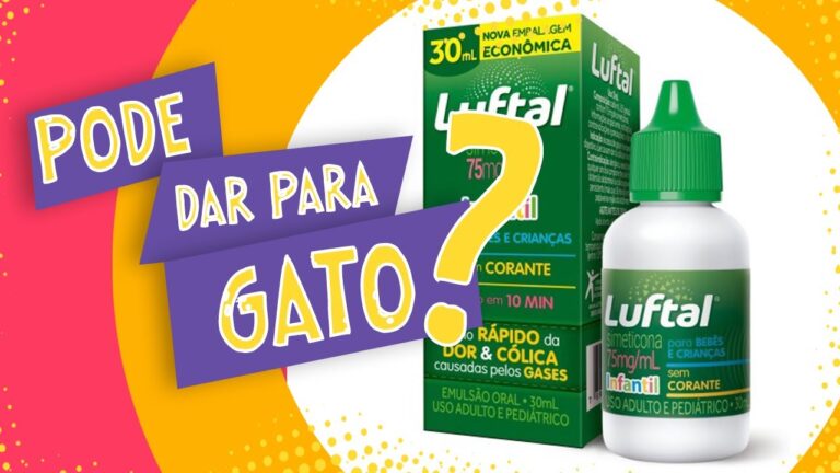 Cuidados Preventivos Esenciales para Aves y Felinos