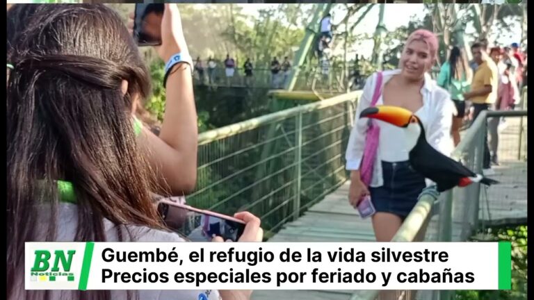 Veterinarios Dedicados al Bienestar Animal en Cautiverio