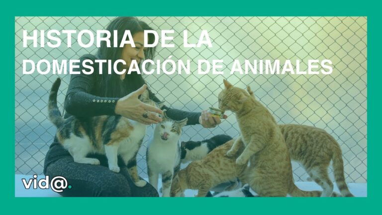 Curiosidades Fascinantes de la Domesticaci&oacute;n de Animales
