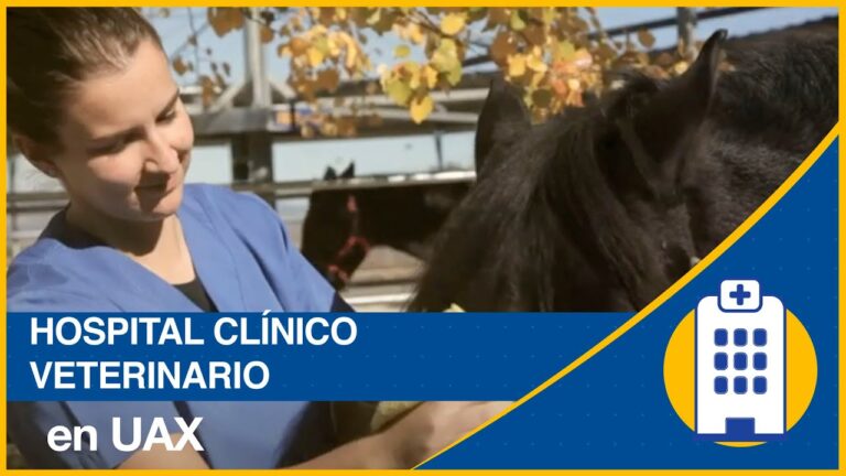 Servicios de Urgencias Quir&uacute;rgicas para Mascotas