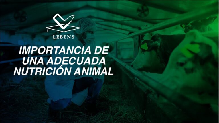 La importancia de una buena alimentaci&oacute;n en veterinaria