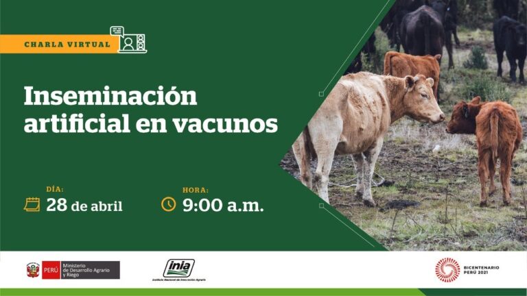 Aspectos Clave de la Inseminaci&oacute;n Artificial en la Reproducci&oacute;n Animal