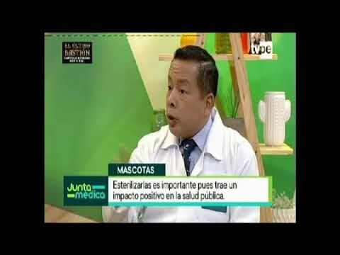 Esterilizaci&oacute;n: Beneficios para la Salud de las Mascotas