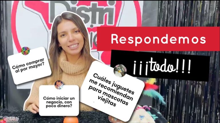 Accesorios Esenciales para el Cuidado y Salud de Mascotas