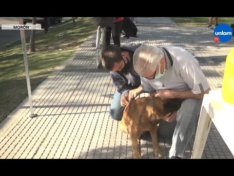 Vacunaci&oacute;n: Soluci&oacute;n Efectiva para el Control de Plagas en Mascotas