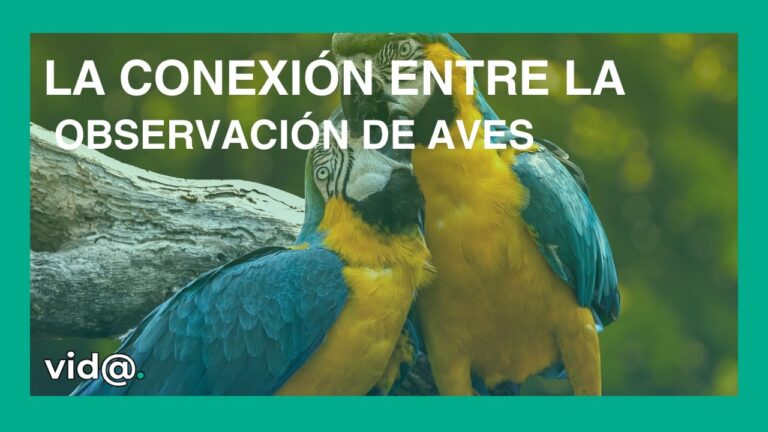 Salud y Bienestar en Aves Tropicales: Claves para su Cuidado