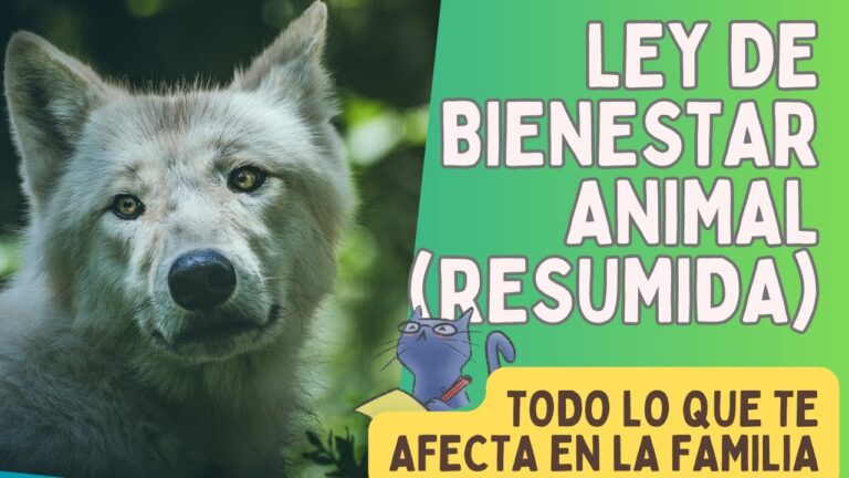 Derechos Legales de los Reptiles como Mascotas