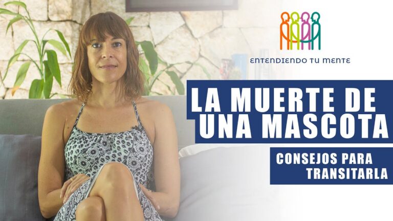 Bienestar Psicol&oacute;gico en el Duelo por Mascotas