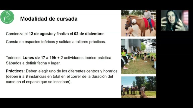 Rehabilitaci&oacute;n Integral para Animales: Un Enfoque Hol&iacute;stico