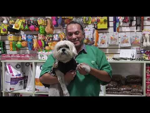 La importancia de la veterinaria en el bienestar de las mascotas