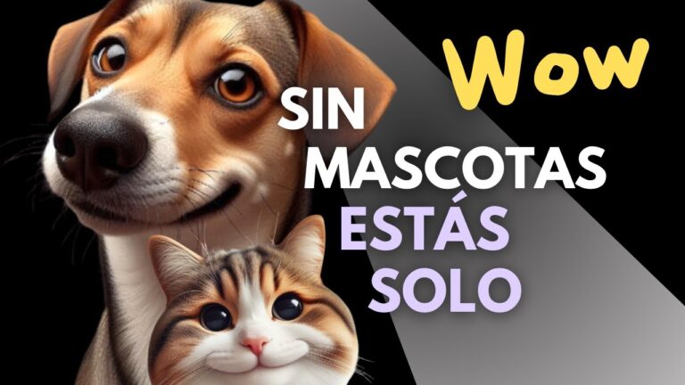 Impacto de la Legislaci&oacute;n en Terapias Asistidas con Animales