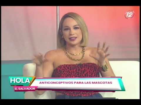 Opciones de Anticonceptivos para Mascotas: Gu&iacute;a Completa