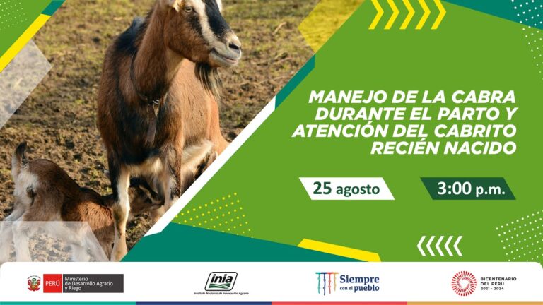Cuidado Veterinario Esencial en la Cr&iacute;a de Cabras