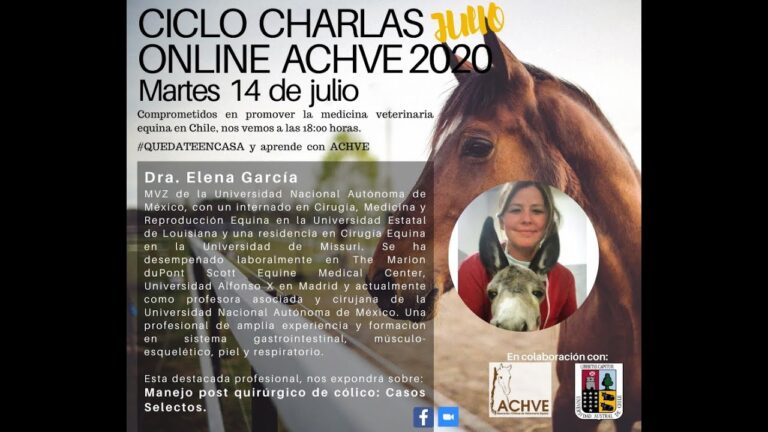 Rehabilitaci&oacute;n Efectiva de Caballos Post-Cirug&iacute;a