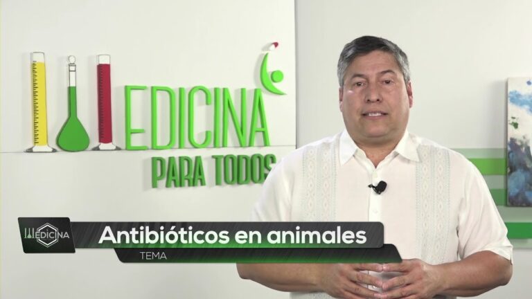 Beneficios de los Antibi&oacute;ticos en Medicina Veterinaria