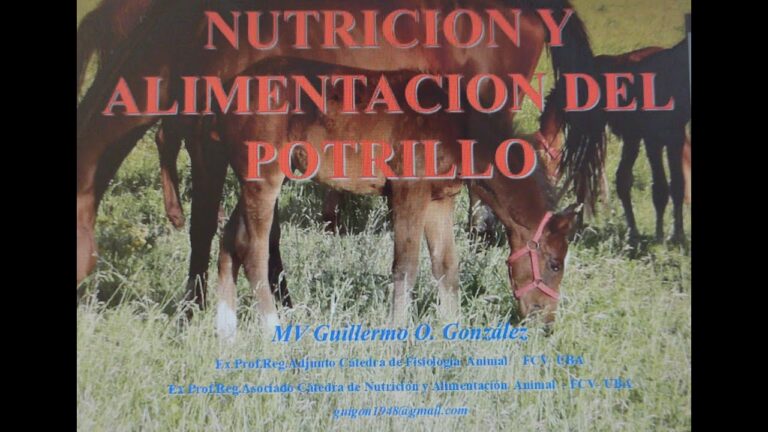 Evaluaci&oacute;n Veterinaria de la Alimentaci&oacute;n Equina