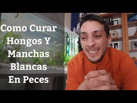 Desintoxicaci&oacute;n de Par&aacute;sitos en Animales Marinos: Estrategias Efectivas