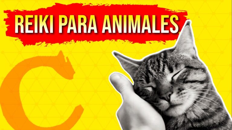 Armon&iacute;a en Mascotas: Acupuntura y Cristales como Soluciones Hol&iacute;sticas