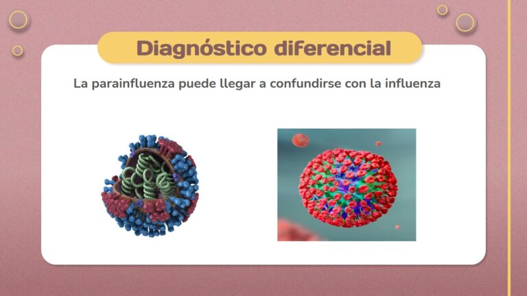 Prevenci&oacute;n Efectiva de la Parainfluenza en Perros