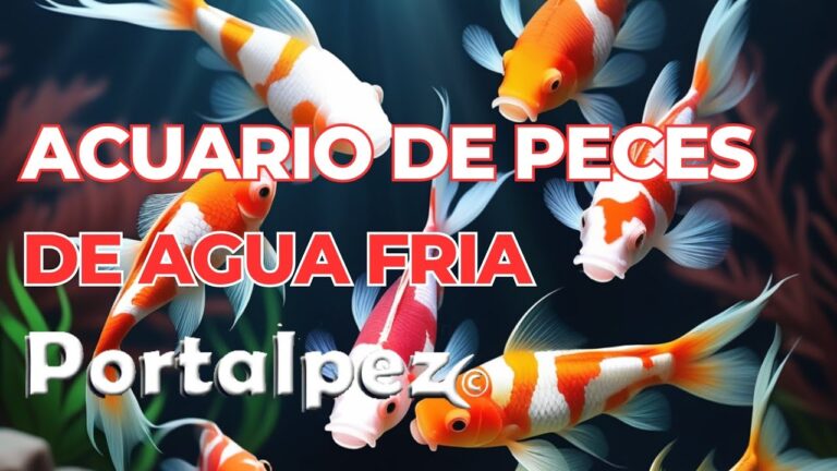 Cuidados Espec&iacute;ficos para Peces en Acuarios Plantados