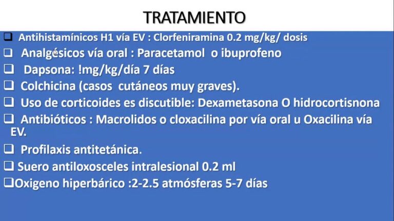 Consideraciones &Eacute;ticas en el Manejo del Dolor en Animales
