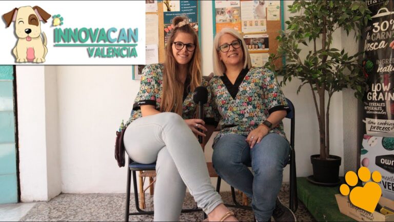 Higiene Esencial: Prot&eacute;ge a tu Mascota Eficazmente