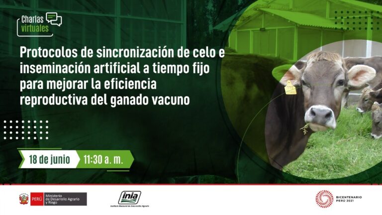 Medicamentos para Regular la Fertilidad en Mascotas