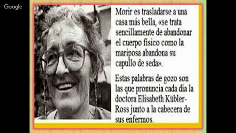 Enfoque Hol&iacute;stico para un Cuidado Animal &Eacute;tico