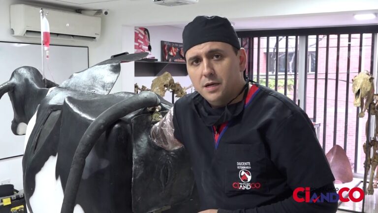 Evaluaci&oacute;n Efectiva de la Salud Reproductiva Animal