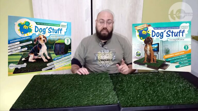 Aseo en Seco: La Opci&oacute;n Higi&eacute;nica Ideal para Mascotas