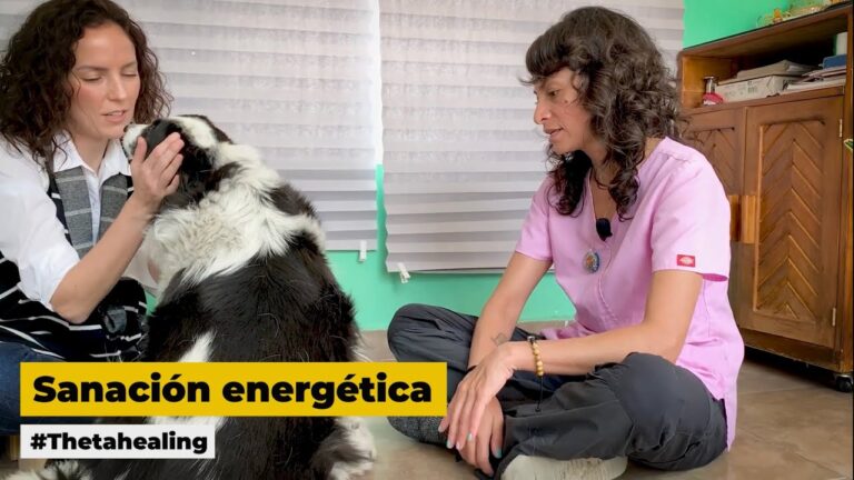 Acupuntura Energ&eacute;tica en Veterinaria: Beneficios y Aplicaciones