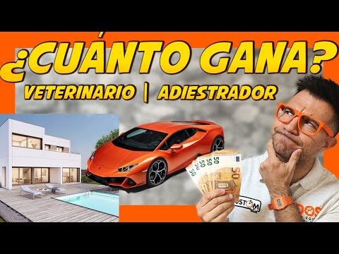 Bienestar Veterinario en el Adiestramiento Positivo