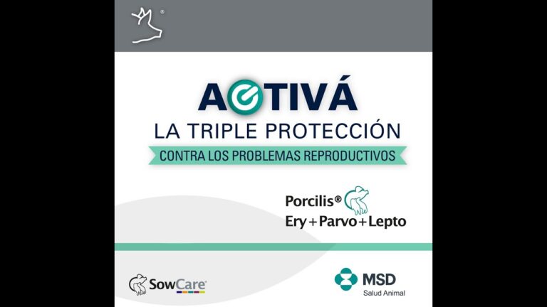 Impacto del Parvovirus en la Salud Animal