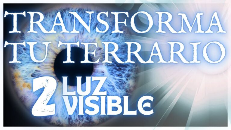 Beneficios de la Iluminación Adecuada para Reptiles