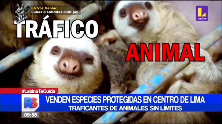 Veterinaria Especializada para Animales Ex&oacute;ticos en Criaderos Autorizados