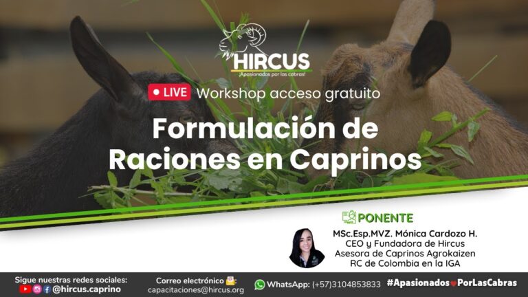 Fibra: Clave en la Nutrici&oacute;n Animal