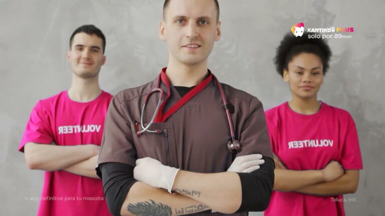 Servicios Veterinarios para una Salud Integral de Mascotas