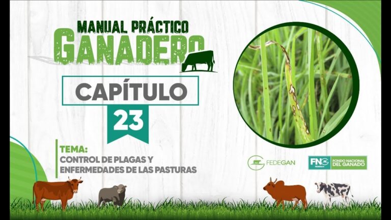 Control de Plagas Comunes en Animales de Granja