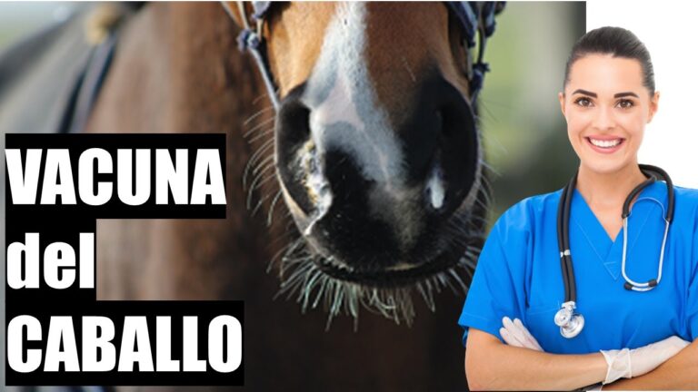 Vacunas: Clave para Proteger la Salud de los Caballos
