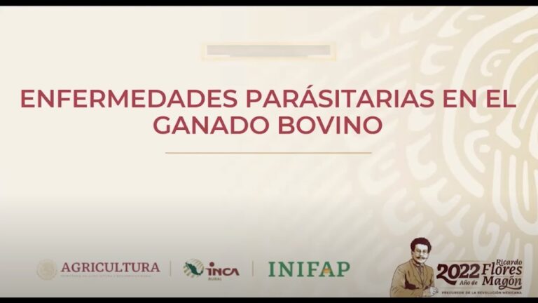 Prevención de Parásitos en la Nutrición Animal