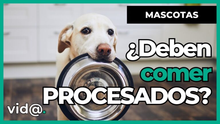 Nutrici&oacute;n Animal: Esencial para una Alimentaci&oacute;n Natural